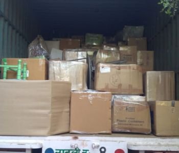 Professional Moving Service